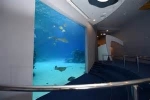 kevin-aquarium